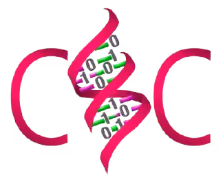 C & C Constructions